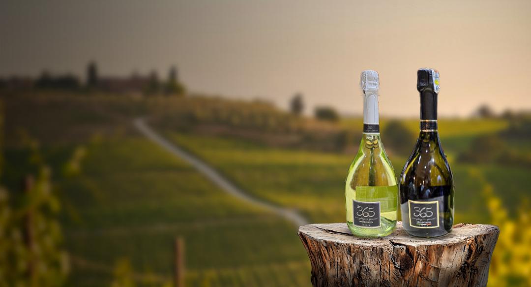 365 Moscato — Sélection NKS Wine Douala